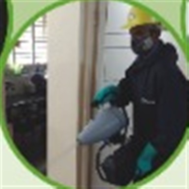 Surface sanitisation